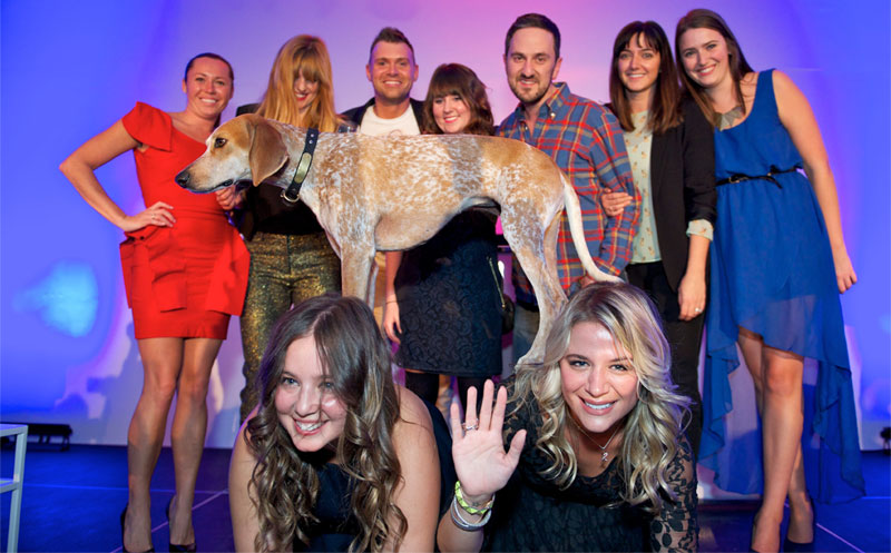 Things to do in Toronto in February- Paws for the Cause Gala- King Blue Condos Toronto 